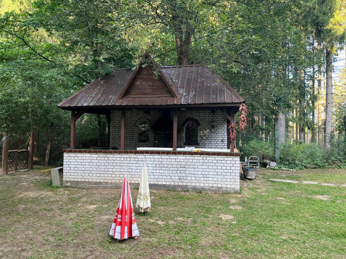 Villa Berolina 玛丽亚温泉 外观 照片